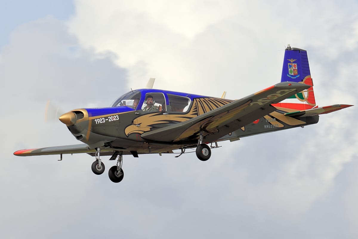 SIAI-Marchetti S.205