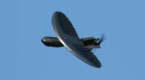 Prioria Robotics Maveric