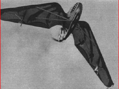 Westland-Hill Pterodactyl