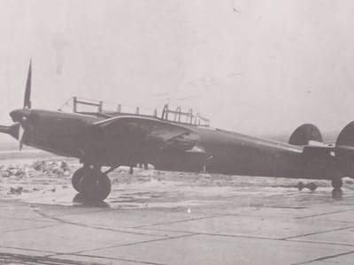 Rogožarski R-313