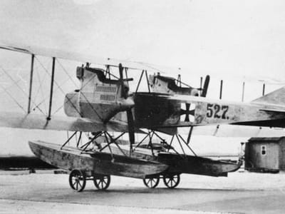 Albatros W.3