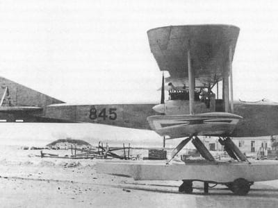 Albatros W.5