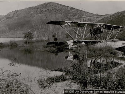 Hansa-Brandenburg W.13