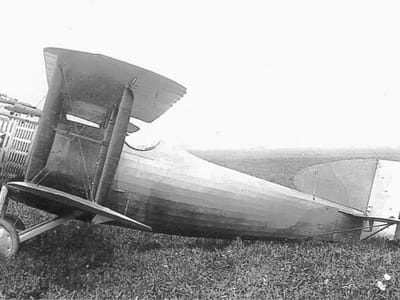 Salmson 3