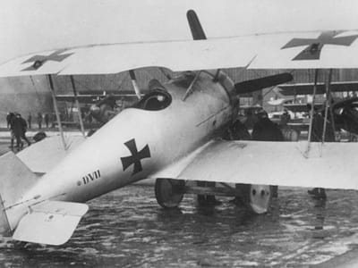Pfalz D.VII