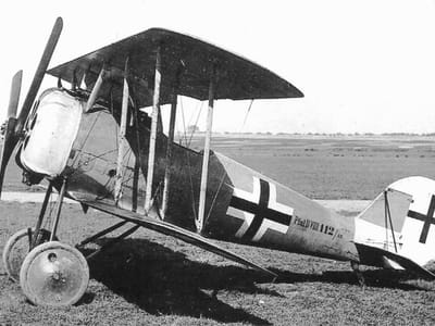 Pfalz D.VIII