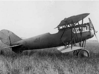 Pfalz D.XV