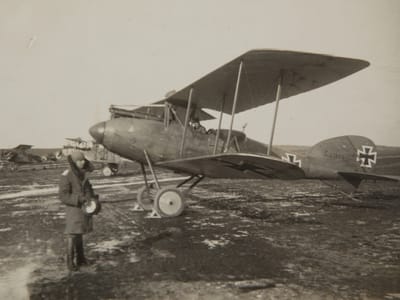 Albatros C.XII