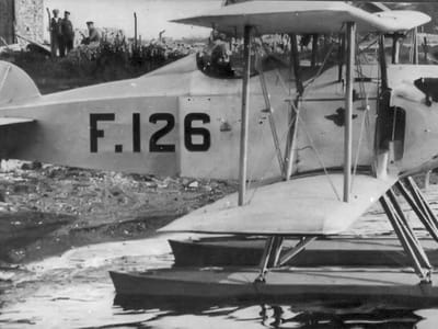 Marinens Flyvebaatfabrikk M.F.9