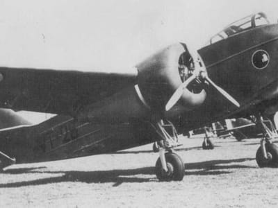 Savoia-Marchetti SM.85