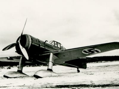 Fokker D.XXI