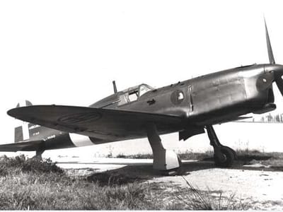 Ambrosini SAI.207