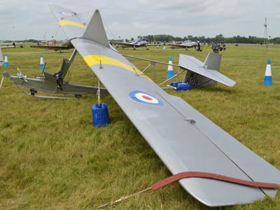 Slingsby Grasshopper