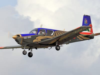 SIAI-Marchetti S.205