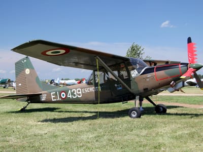 SIAI-Marchetti SM.1019