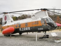 Boeing Vertol CH-46 Sea Knight - Image 25