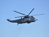 Sikorsky CH-124 Sea King - Image 6