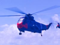 Sikorsky CH-124 Sea King - Image 2