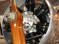 RAE Larynx - Image 2