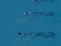 AgustaWestland AW101 - Image 17