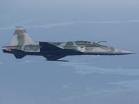 Northrop F-5 - Image 31