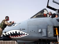 Fairchild Republic A-10 Thunderbolt II - Image 12