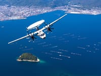 Grumman E-2 Hawkeye - Image 23