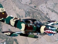 SIAI-Marchetti SF.260 - Image 6