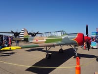 Yakovlev Yak-52 - Image 3