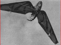 Westland-Hill Pterodactyl