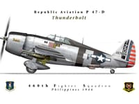 Republic P-47 Thunderbolt - Image 12