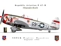 Republic P-47 Thunderbolt - Image 13