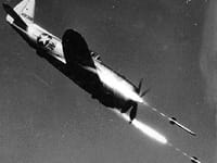 Republic P-47 Thunderbolt - Image 19