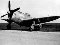 Republic P-47 Thunderbolt - Image 21
