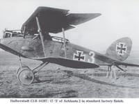 Halberstadt CL.II - Image 4