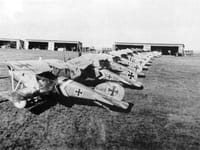 Albatros D.III - Image 4