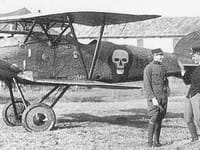 Albatros D.III - Image 5
