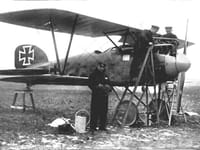 Albatros D.III - Image 8