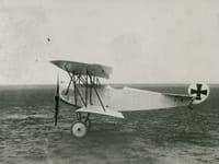 Fokker D.VII - Image 10