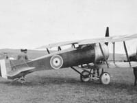 Alcock Scout - Image 1