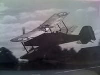 Royal Aircraft Factory S.E.5 - Image 4
