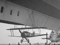 Sopwith Camel - Image 4