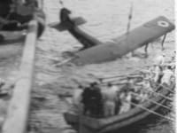 Port Victoria Grain Griffin