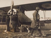 Nieuport 10 - Image 8