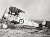 Nieuport 11 - Image 3