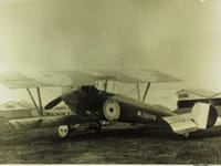 Nieuport 12 - Image 3
