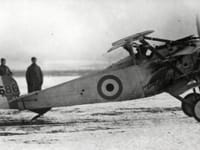 Nieuport 17 - Image 9