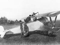 Nieuport 21 - Image 2