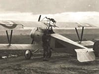 Nieuport 21 - Image 3