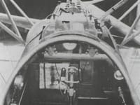 Albatros D.V - Image 3